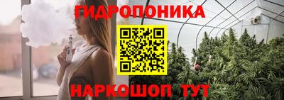 кокс Пушкино